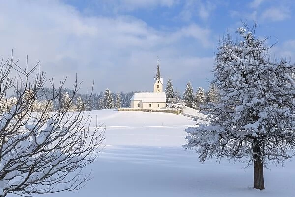 The sun illuminates the church of Versam after a snowfall, Versam, Safiental, Surselva
