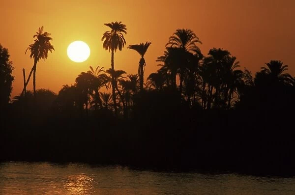Sun setting behind palms across the River Niles west bank, Luxor, Thebes