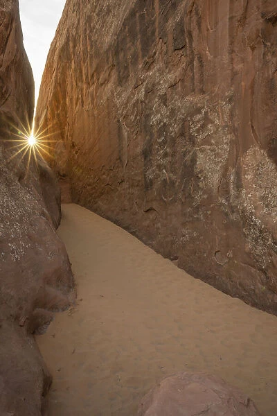 Sunburst over a sandy dune, Arches National Park, Utah, United States of America