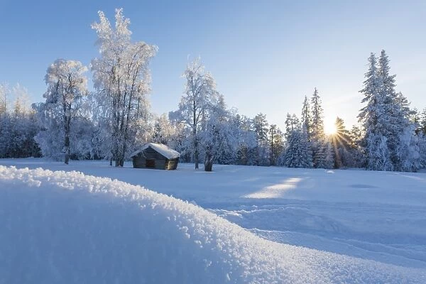 Sunburst on wooden hut in the snowy forest, Kiruna, Norrbotten County, Lapland, Sweden