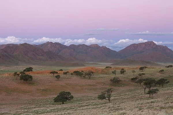 Sundowner, Wolvedans, Namib Rand Nature Reserve, Namibia, Africa