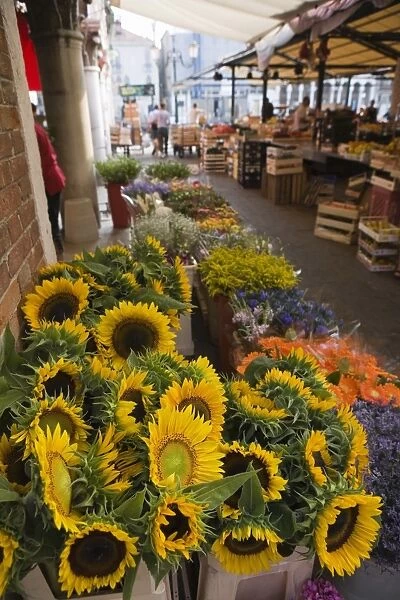 Sunflowers for sale in Rialto Market, Venice, Veneto, Italy, Europe