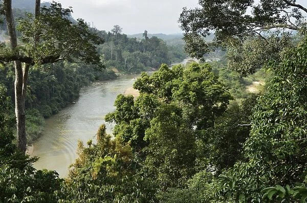 Sungai Tembeling, Taman Negara National Park, Pahang, Malaysia, Southeast Asia, Asia