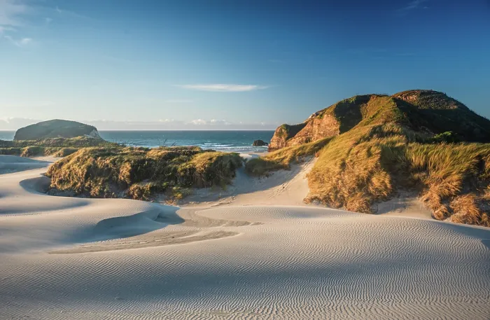 Framed Print : Sunlit Coastal Sand Dunes and Rugged Hills at Wharariki Beach Near Cape Farewell, South Island, New Zealand Framed Print : Sunlit Coastal Sand Dunes and Rugged Hills at Wharariki Beach Near Cape Farewell, South Island, New Zealand