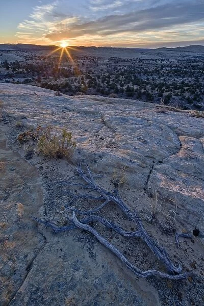 Sunrise from atop a sandstone hill, Grand Staircase-Escalante National Monument, Utah