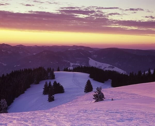 Sunrise on Belchen Mountain in winter, Black Forest, Baden Wurttemberg, Germany, Europe