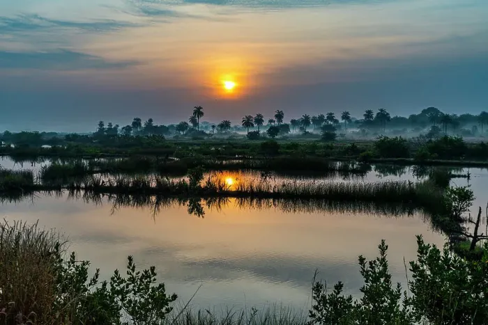 Framed Print : Sunrise in the Casamance, Senegal, West Africa, Africa Framed Print : Sunrise in the Casamance, Senegal, West Africa, Africa