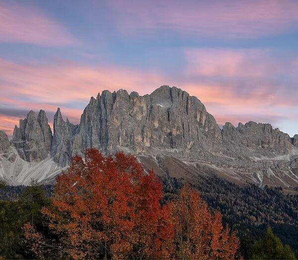 Sunrise on Catinaccio Rosengarten and Torri Del Vajolet in autumn, Tires Valley, Dolomites