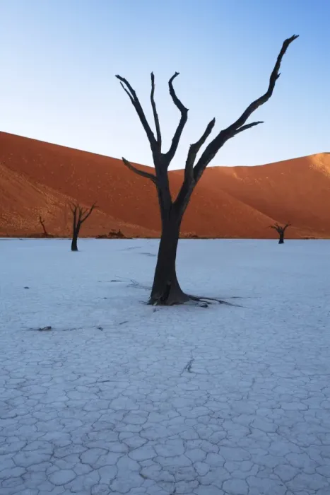 Framed Print : Sunrise at Dead Vlei, Sossusvlei, Namib-Naukluft Park, Namib Desert, Namibia, Africa Framed Print : Sunrise at Dead Vlei, Sossusvlei, Namib-Naukluft Park, Namib Desert, Namibia, Africa