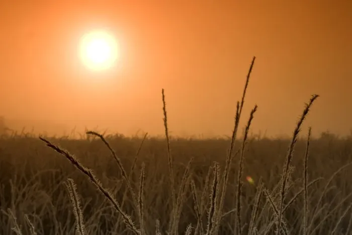 Framed Print : Sunrise in the fen