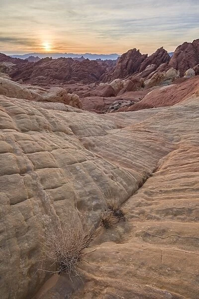 Sunrise at Fire Canyon, Valley of Fire State Park, Nevada, United States of America, North America