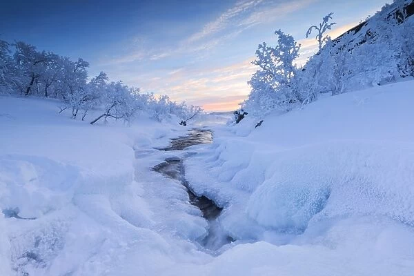 Sunrise on the frozen river and forest, Abisko, Kiruna Municipality, Norrbotten County