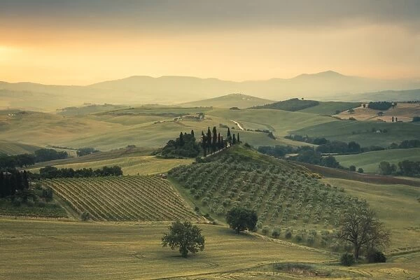 Sunrise on the gentle green hills of Val d Orcia, UNESCO World Heritage Site, Province of Siena