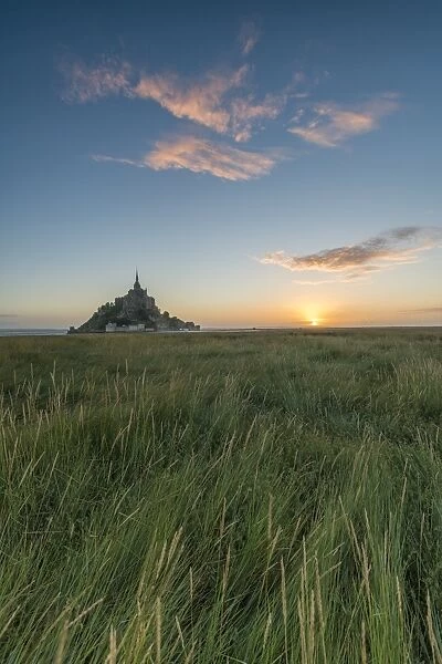 Sunrise with grass in the foreground, Normandy, France, Europe