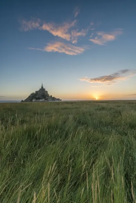 Framed Print : Sunrise with grass in the foreground, Normandy, France, Europe Framed Print : Sunrise with grass in the foreground, Normandy, France, Europe