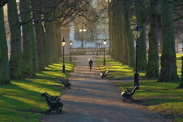 Sunrise, Green Park, London, England, United Kingdom, Europe