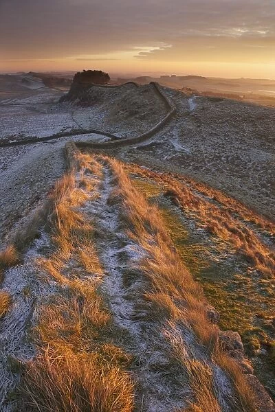 Sunrise on Hadrians Wall National Trail in winter, looking to Housesteads Fort, Hadrians Wall, UNESCO World Heritage Site, Northumberland, England, United Kingdom, Europe