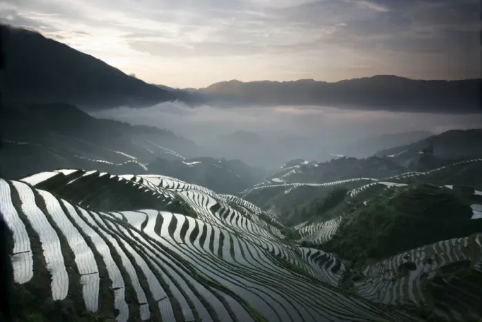 Framed Print : Sunrise in June, Longsheng terraced ricefields, Guangxi Province, China, Asia Framed Print : Sunrise in June, Longsheng terraced ricefields, Guangxi Province, China, Asia