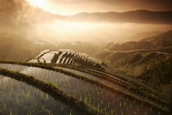 Framed Print : Sunrise in June, Longsheng terraced ricefields, Guangxi Province, China, Asia Framed Print : Sunrise in June, Longsheng terraced ricefields, Guangxi Province, China, Asia