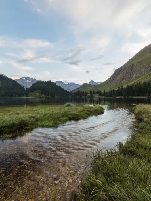 Framed Print : Sunrise at Lake Cavloc, Maloja Pass, Bregaglia Valley, Engadine, Canton of Graubunden Framed Print : Sunrise at Lake Cavloc, Maloja Pass, Bregaglia Valley, Engadine, Canton of Graubunden
