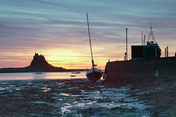 Sunrise at Lindisfarne, Holy Island, Northumberland, England, United Kingdom, Europe