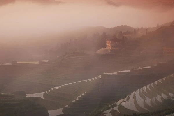 Sunrise, Longsheng terraced ricefields, Guangxi Province, China, Asia