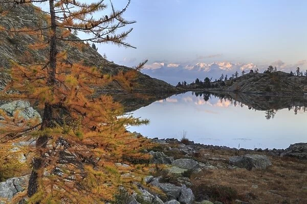 Sunrise on Mount Rosa seen from Lac Blanc, Natural Park of Mont Avic, Aosta Valley