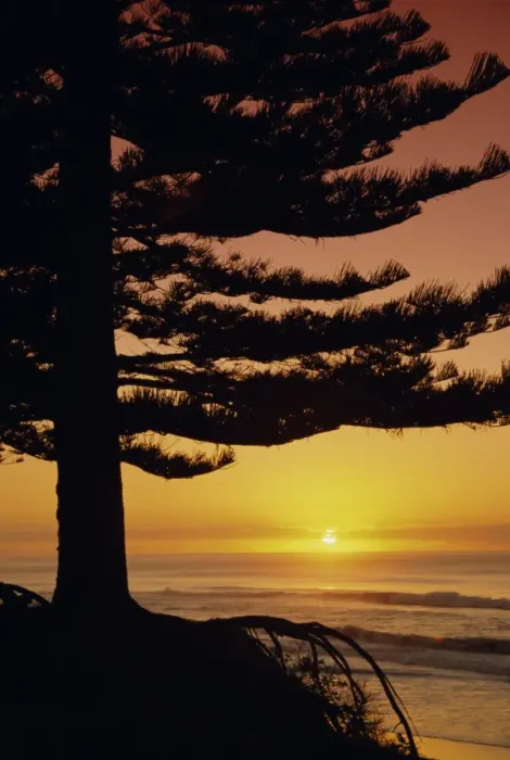 Framed Print : Sunrise, Pine Beach Framed Print : Sunrise, Pine Beach