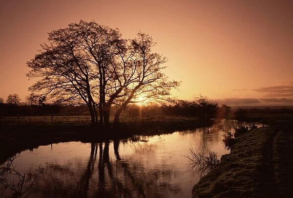 Sunrise over the River Wey, Send, Surrey, England, United Kingdom, Europe