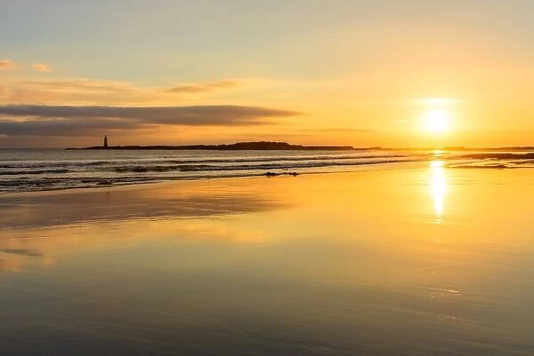 Sunrise at Seacliff Beach, East Lothian, Scotland, United Kingdom, Europe