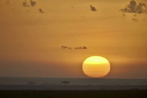 Sunrise, Serengeti National Park, Tanzania, East Africa, Africa
