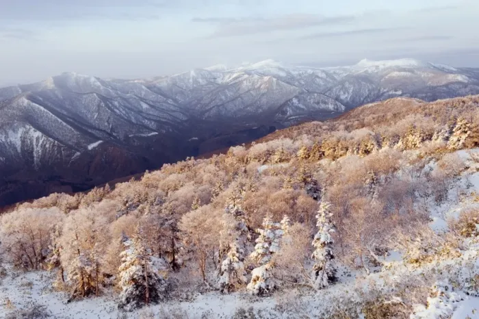 Framed Print : Sunrise over snow covered Towada Hachimantai National Park, Iwate prefecture, Japan, Asia Framed Print : Sunrise over snow covered Towada Hachimantai National Park, Iwate prefecture, Japan, Asia