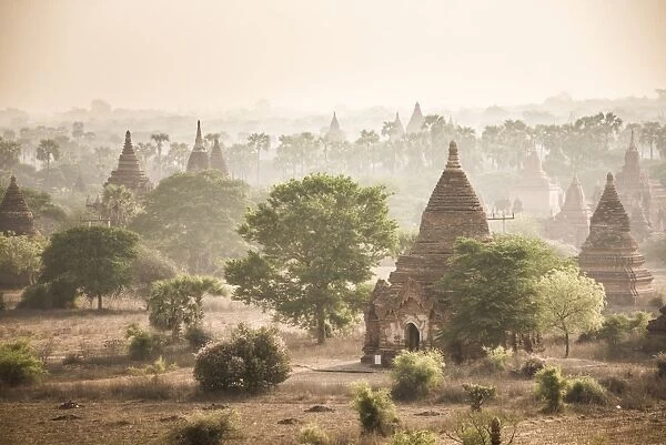 Sunrise at the Temples of Bagan (Pagan), Myanmar (Burma), Asia