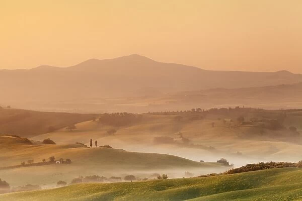 Sunrise at Val d Orcia, near San Quirico, Val d Orcia (Orcia Valley), UNESCO World Heritage Site