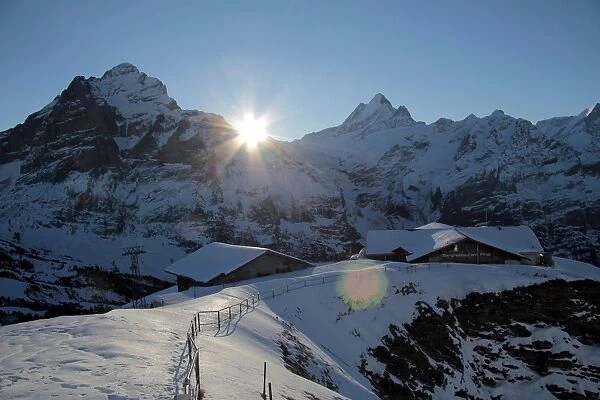 Sunrise on the Wetterhorn, seen from First, Grindelwald, Bernese Oberland