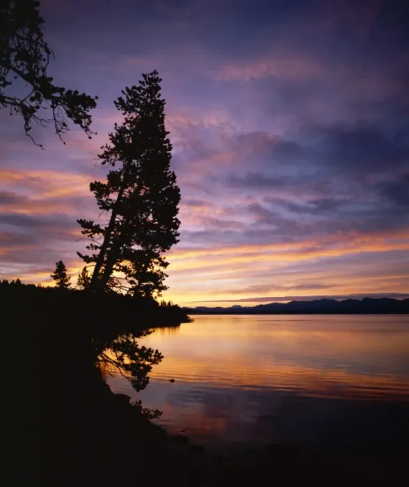 Framed Print : Sunrise, Yellowstone Lake Framed Print : Sunrise, Yellowstone Lake
