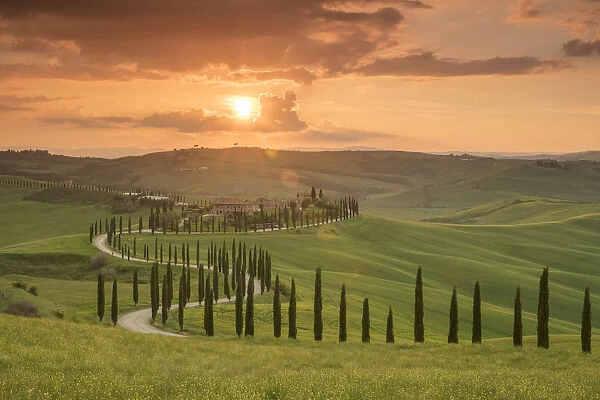 Sunset over the Agriturismo Baccoleno and winding path with cypress trees, Asciano in Tuscany