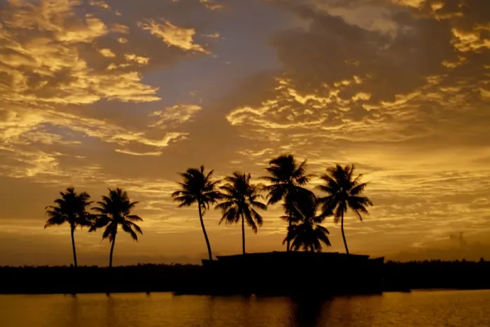 Framed Print : Sunset over the Backwaters, Alleppey, Kerala, India, Asia Framed Print : Sunset over the Backwaters, Alleppey, Kerala, India, Asia