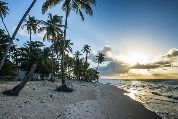 Sunset at the beach of Pigeon Point, Tobago, Trinidad and Tobago, West Indies, Caribbean, Central America