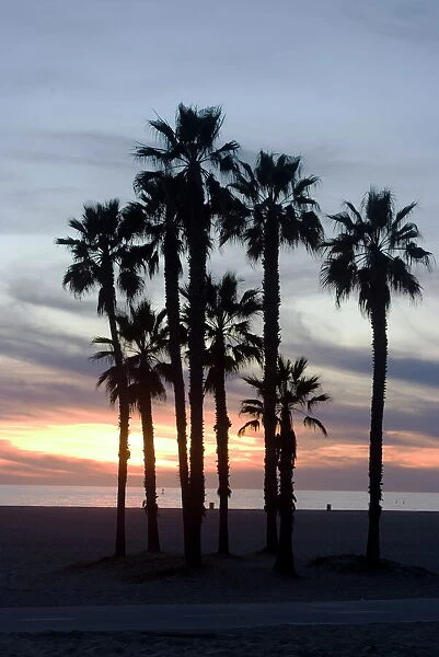 Sunset over the beach, Santa Monica, California, United States of America, North America