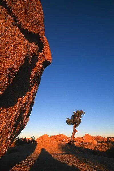 Sunset casts shadows on boulders in Joshua Tree National Park, California, United States of America, North America