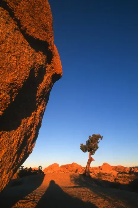 Framed Print : Sunset casts shadows on boulders in Joshua Tree National Park, California, United States of America, North America Framed Print : Sunset casts shadows on boulders in Joshua Tree National Park, California, United States of America, North America