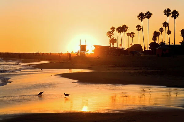 Sunset at Corona del Mar Beach, Newport Beach, Orange County, California