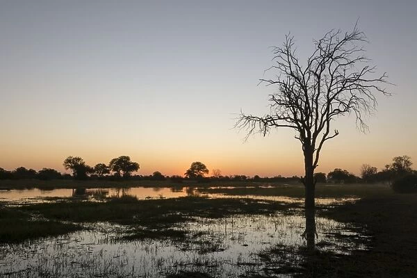 Sunset over the Delta, Khwai Conservation Area, Botswana, Africa