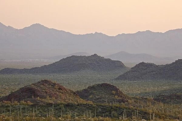Sunset from the Diablo Mountains, Organ Pipe Cactus National Monument, Arizona
