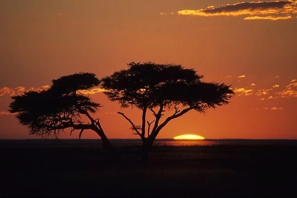 Sunset in Etoscha National Park