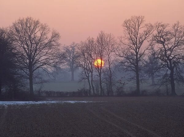 Sunset over farmland and bare trees in silhouette in winter in the Medway Valley near Tonbridge