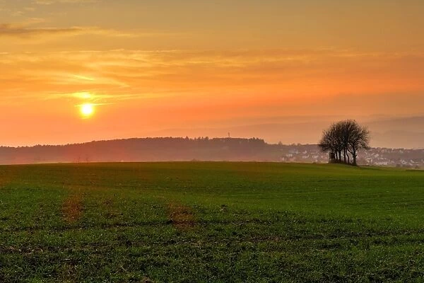 Sunset and field, Rhineland-Palatinate (Rheinland-Pfalz), Germany, Europe