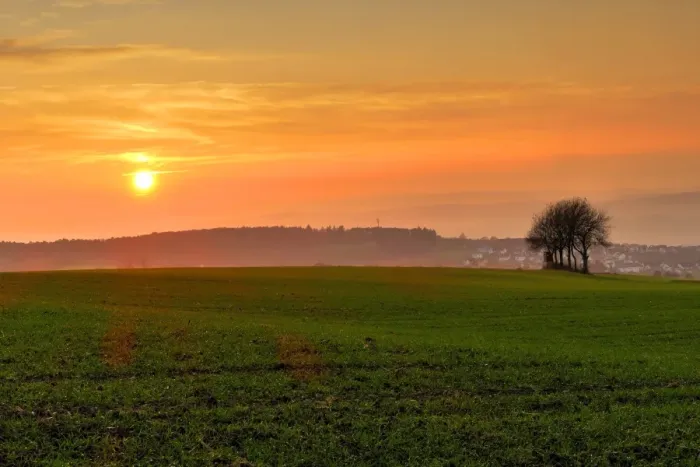 Framed Print : Sunset and field, Rhineland-Palatinate (Rheinland-Pfalz), Germany, Europe Framed Print : Sunset and field, Rhineland-Palatinate (Rheinland-Pfalz), Germany, Europe