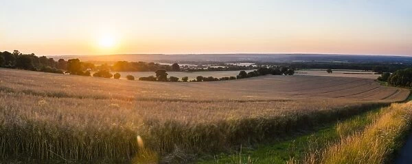 Sunset over fields just outside Guildford, Surrey, England, United Kingdom, Europe